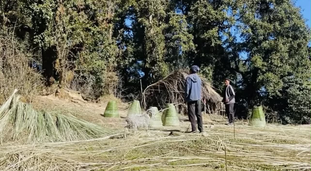 अमेरिकामा सहयाेग जुटाएर डम्मानामा साझा गोठ बन्दै