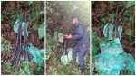 त्रिवेणी २ बाट तीन नाल भरुवा बन्दुक बरामद