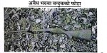 मुसिकोट ८ बाट भरुवा बन्दुक बरामद 
