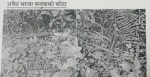 त्रिवेणीको जंगलबाट तीन नाल बेवारिसे भरुवा बन्दुक बरामद
