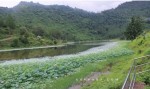 कमल दहमा डुबेर आठ वर्षिया  बालिकाको मृत्यु
