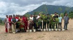 सगरमाथा वृक्षारोपण महाअभियान: पशुपति माविमा सौन्दर्यमूलक बिरुवा रोपियो  