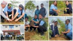 संविधान दिवसको अवसरमा त्रिवेणी गाउँ कार्यपालिका कार्यालय परिसरमा वृक्षारोपण 