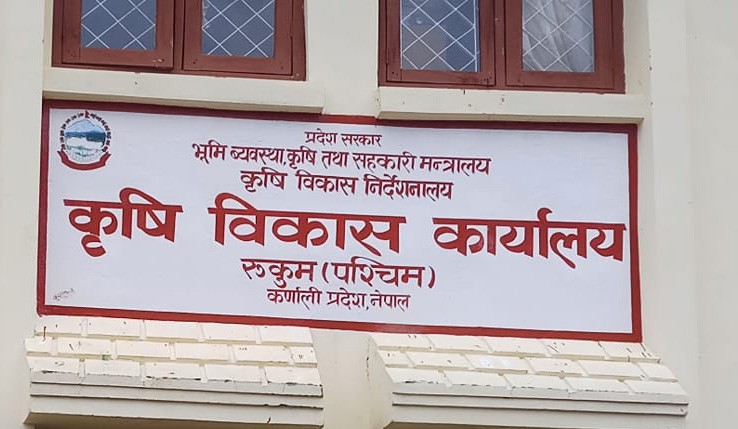 कृषिका विद्यार्थीबीच निवन्ध लेखन प्रतिसप्रधा