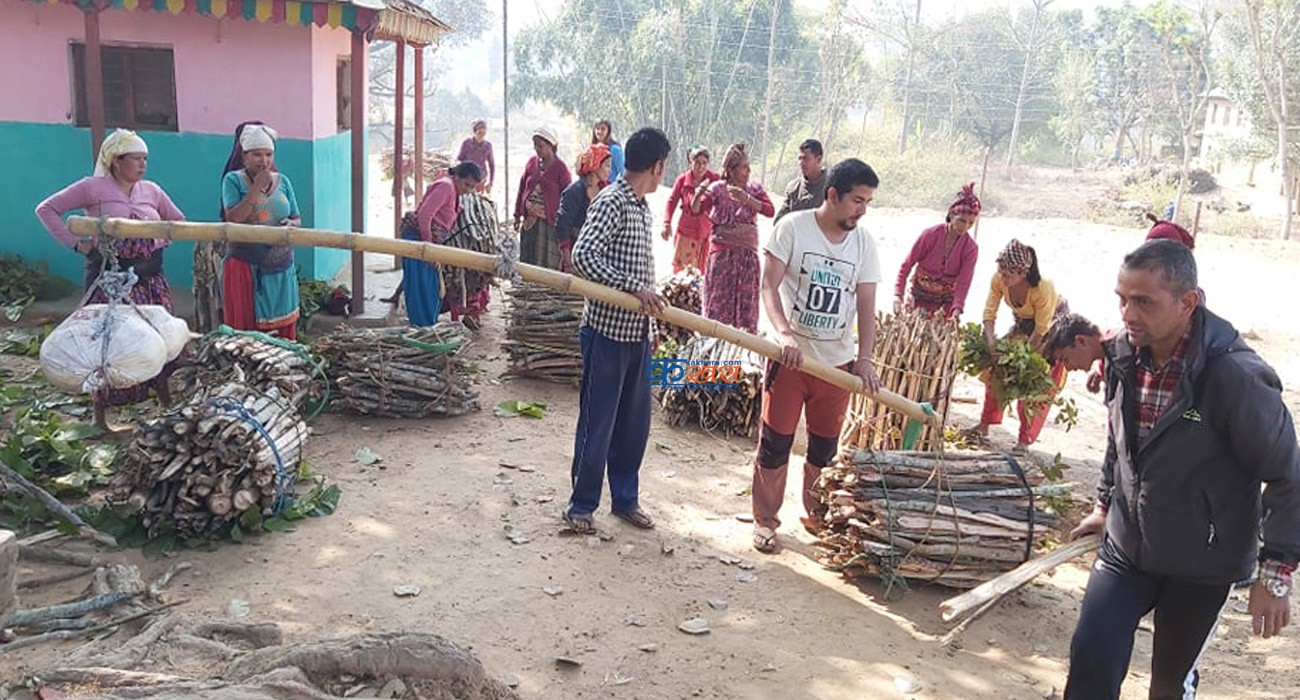 तौलेर मात्रै दाउराको भारी !