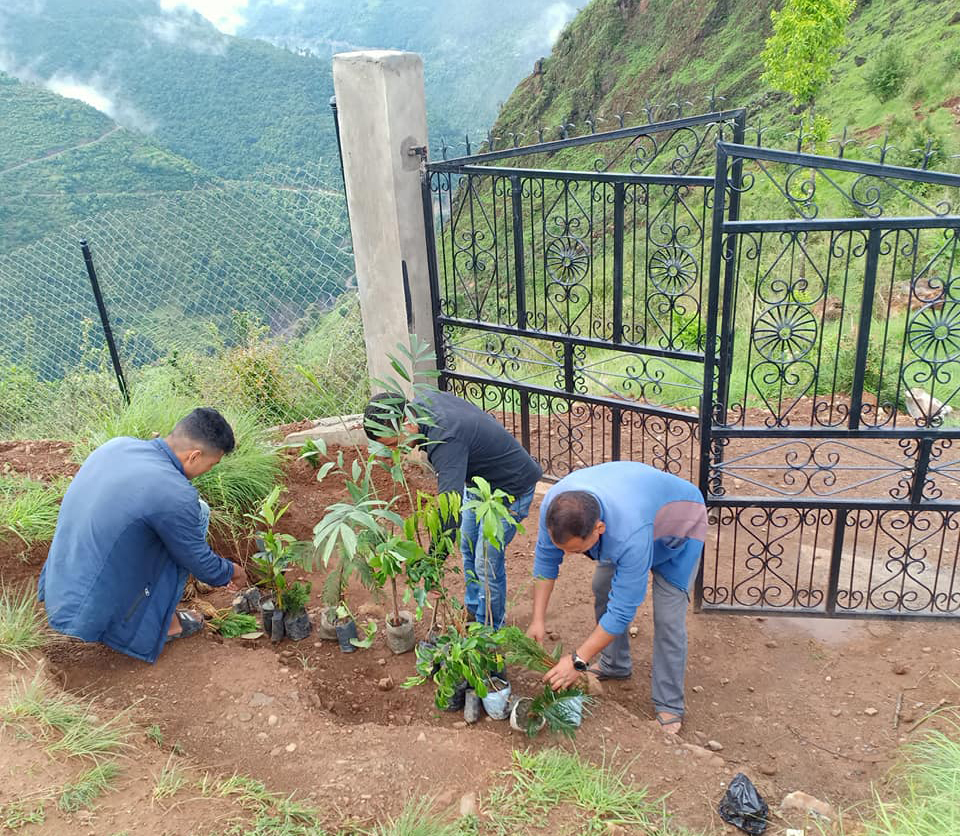 युद्ध स्थलमा वृक्षा रोपन
