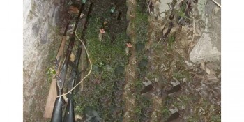 किटिनीको जंगलमा ४ थान भरुवा बन्दुक बेवारिसे अवस्थामा फेला 
