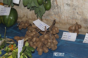 मुसिकोटमा कृषि मेला प्रदर्शनी 