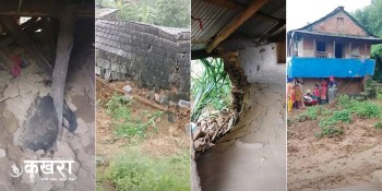 त्रिवेणी ५ मा पहिरोले गोठ पुर्दा गाई र कुखुरा मरे, ११ वटा घर उच्च जोखिममा