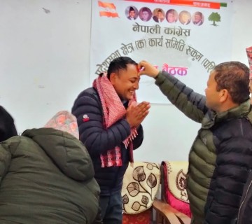 कांग्रेस प्रदेश निर्वाचन क्षेत्रको कोषाध्यक्षमा केसी