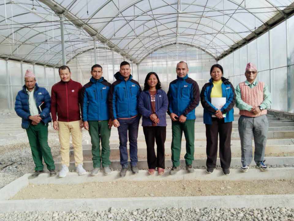 मग्मामा उच्च प्रविधियुक्त नर्सरी सञ्चालन, वार्षिक एक लाख बिरुवा उत्पादन गर्ने लक्ष्य