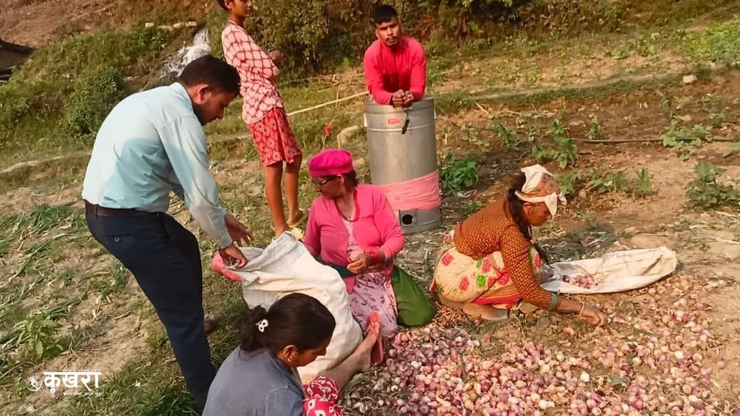 सामूहिक तरकारी खेतीबाट आत्मनिर्भर बन्दै आमा समूह 