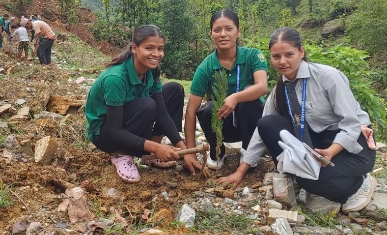 रुकुम पश्चिमका विभिन्न सामुदायिक वनमा साढे ७२ हजार विरुवा रोपियो