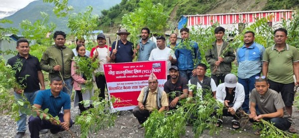 श्रम तथा उत्पादनमा वाइसीयल अभियान: आठबिसकोटमा वृक्षारोपण र सरसफाइ