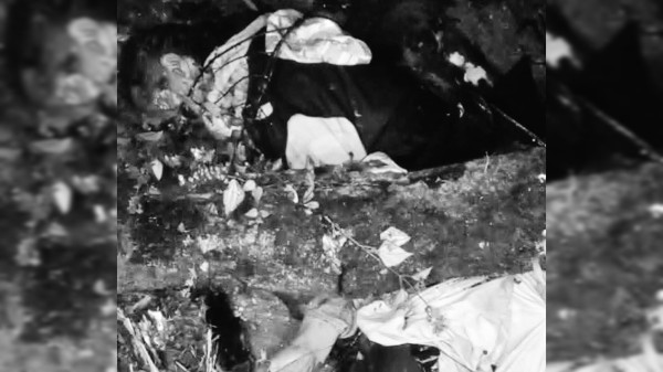 सानीभेरी ५ मा रुखको हाँगाले लागेर एक व्यक्तिकाे मृत्यु