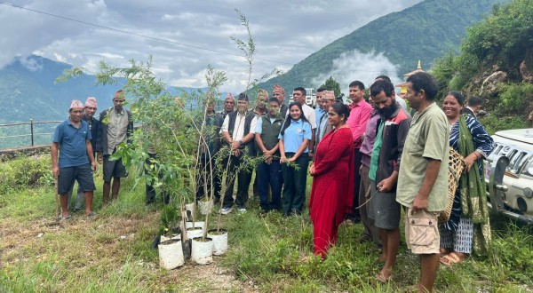 सगरमाथा वृक्षारोपण महाअभियान: बारिपोले साइकुमारी मन्दिर परिसरमा वृक्षारोपण