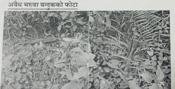 त्रिवेणीको जंगलबाट तीन नाल बेवारिसे भरुवा बन्दुक बरामद