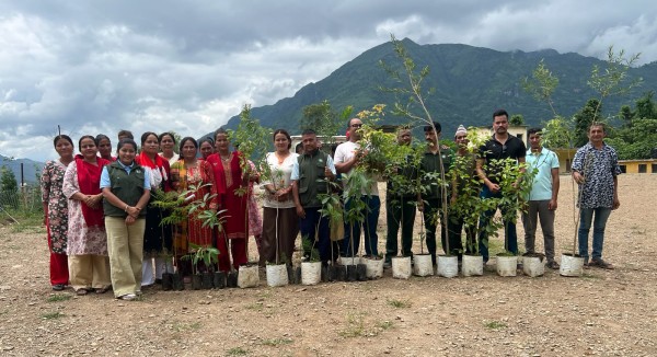 सगरमाथा वृक्षारोपण महाअभियान: पशुपति माविमा सौन्दर्यमूलक बिरुवा रोपियो