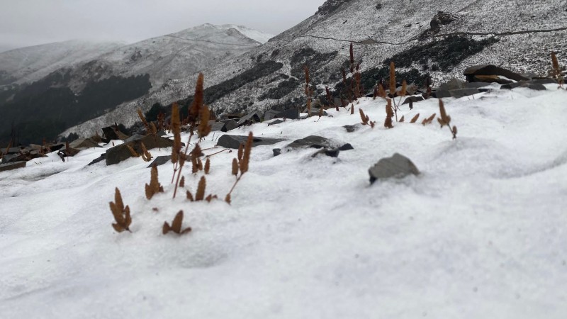 रूकुम पूर्वमा यसवर्षकाे पहिलाे हिमपात