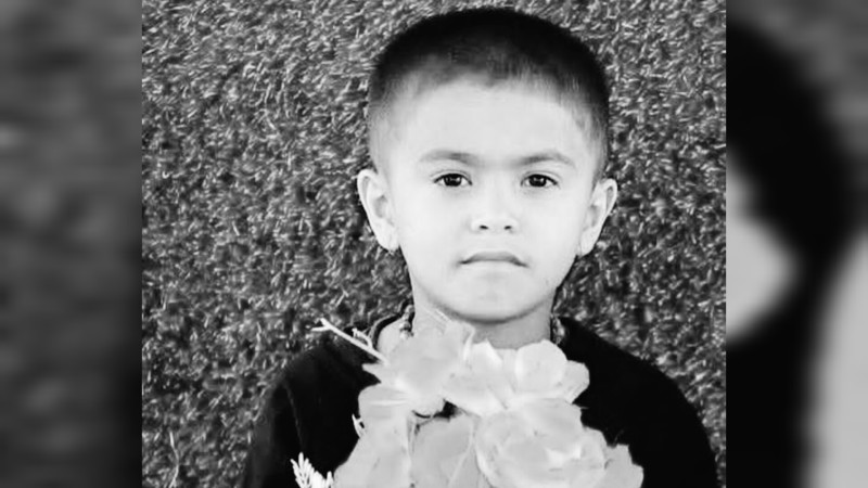 खेल्ने क्रममा रूखले च्यापिएर बालकको मृत्यु