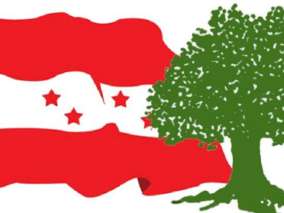 कांग्रेसले परिचालन गर्यो रुकुम पश्चिमका सबै पालिकामा ७ सदस्यीय टोली 