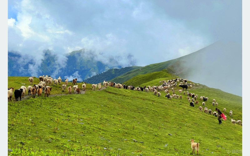 पदयात्राका लागि उत्कृष्ट गन्तव्य बन्दै ‘बुकीपाटन’