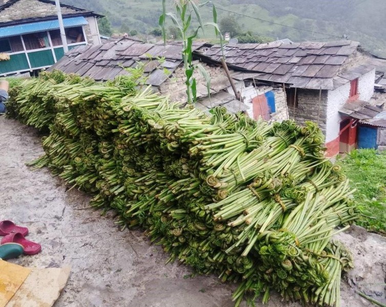 घरखर्च चलाउने आम्दानी बन्न थाल्यो निहुरो