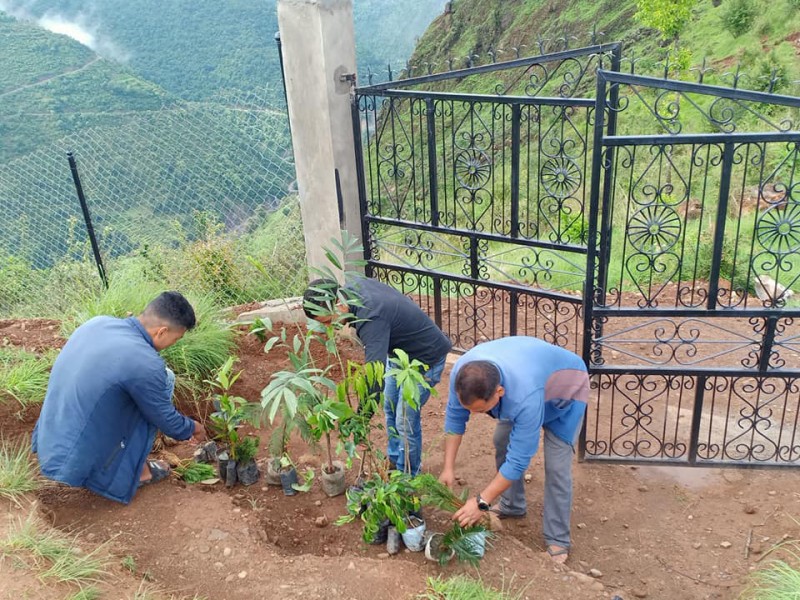 युद्ध स्थलमा वृक्षा रोपन