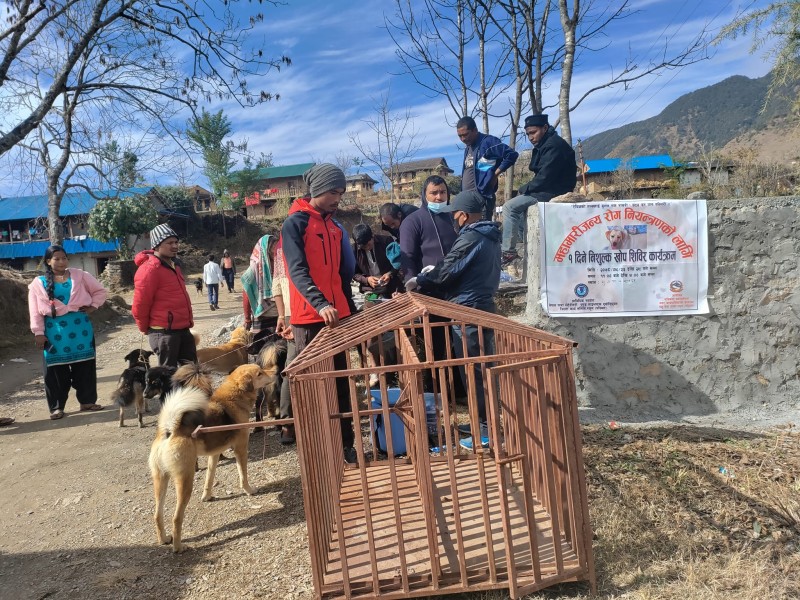 पशु वस्तुको लागि खोप शिविर सुरु