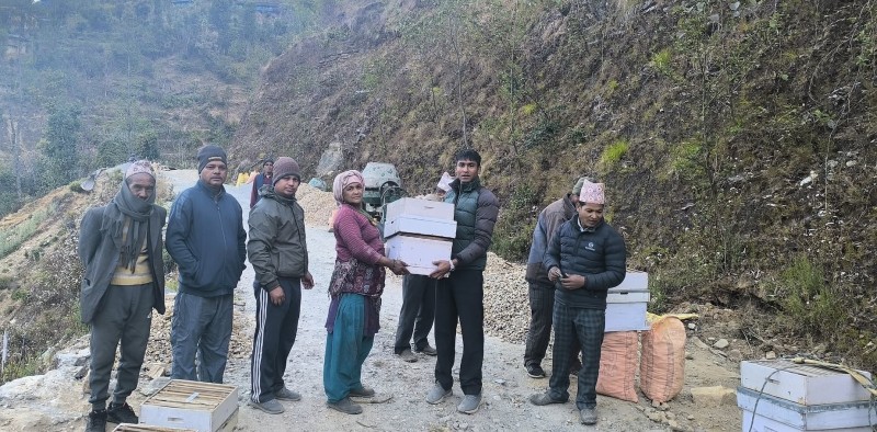 मुसिकोटका ५३ जना कृषकले पाए अनुदानमा गोलासहितको मौरी घार 