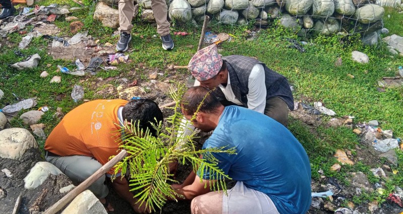 बेलटापु खेलमैदान आपसपाको क्षेत्रमा वृक्षारोपन 