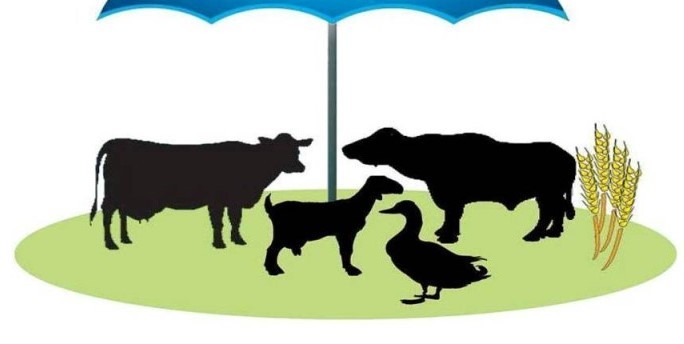 सानीभेरीमा आठ हजार पशुपंक्षीको उपचार 