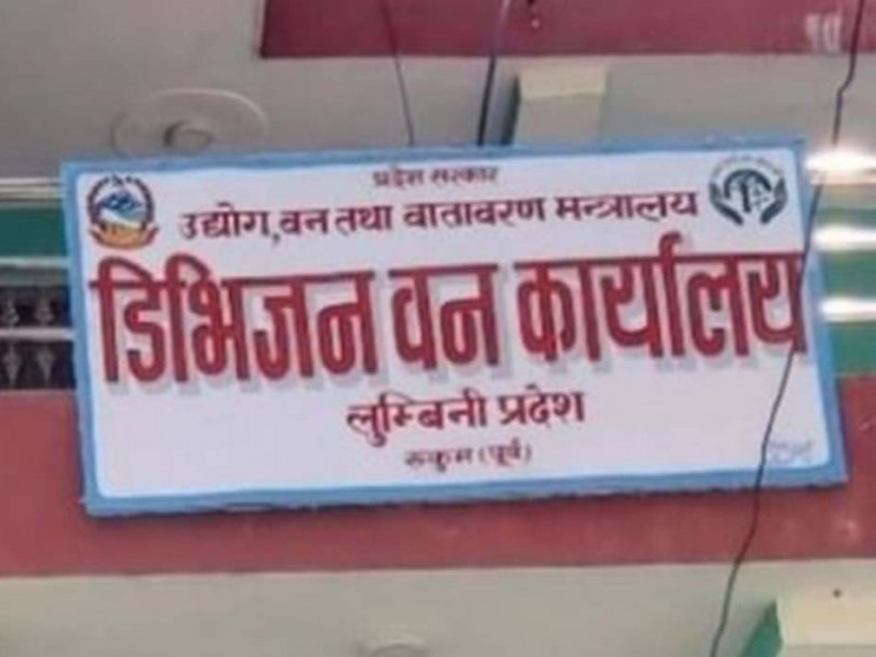 रुकुम पूर्वबाट १ लाख ११ हजार किलो जडिबुटी निकासी 
