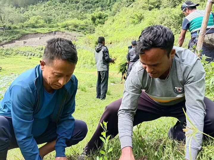 कमलदह परिसरमा सय अनार र ५० कागतीका विरुवा