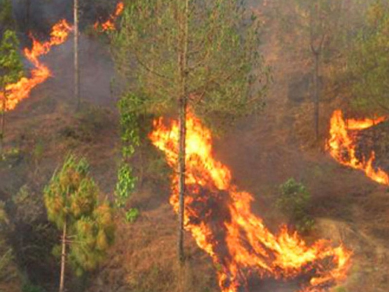 बाँफिकोट र सानीभेरीका आधा दर्जन बढी वनमा डढेलो 