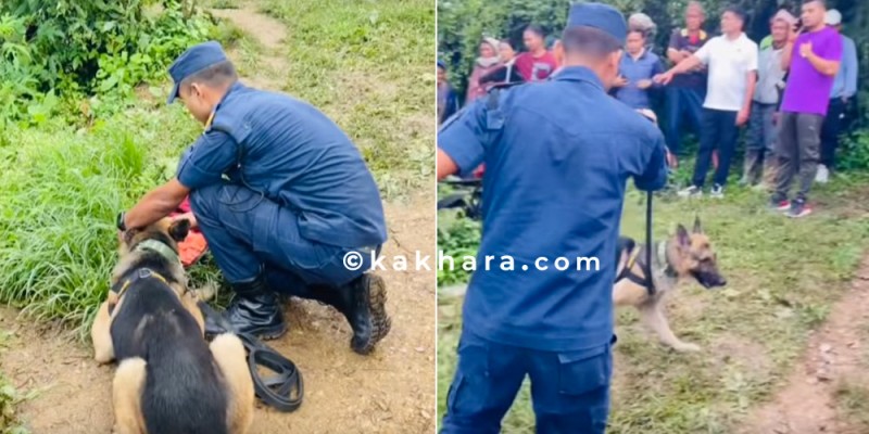 अढाई वर्षका शिशिर घरबाटै बेपत्ता, खोजीका लागि कुकुर परिचालन 