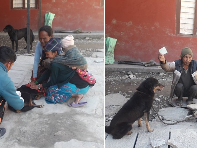 भूमेमा ५५ वटा कुकुरलाई रेविज विरुद्धको खोप 