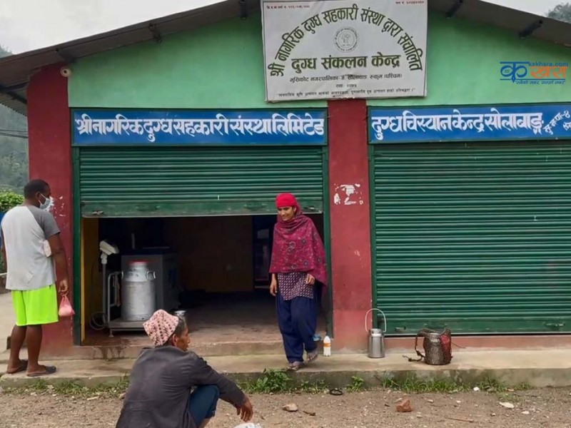 रुकुम पश्चिमबाट एक वर्षमा ७४ हजार लिटर दुध निर्यात 