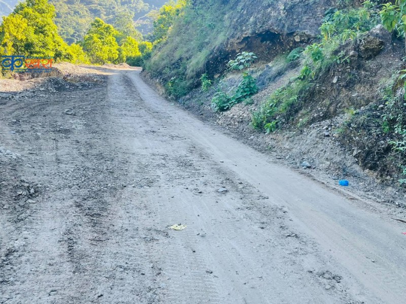 सडक मर्मत थालियो