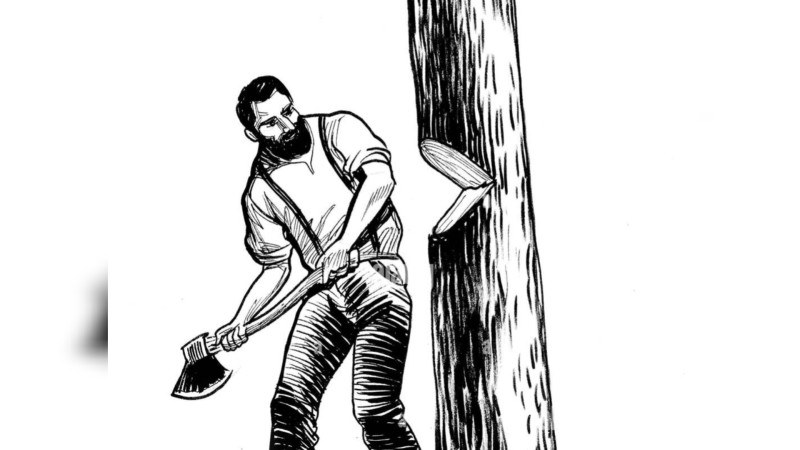 त्रिवेणीमा रूख काट्ने क्रममा एक व्यक्ति गम्भीर घाइते