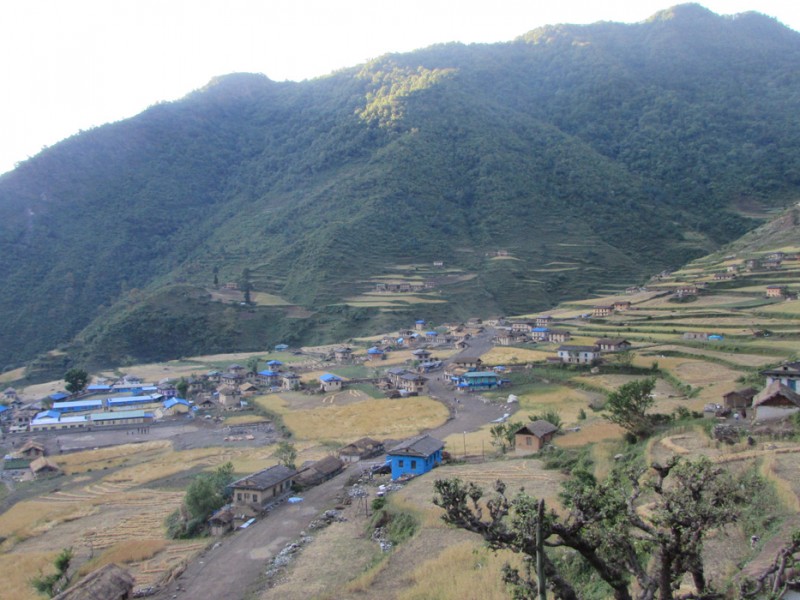 ट्याक्टरले घोडा हानेको बदलामा मान्छेमा खुकुरी हानियो