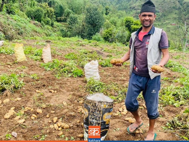 चौरजहारीका कृषकलाई मासिक एक हजार पेन्सन 