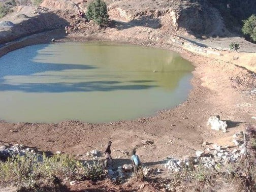 दहनेटा पोखरी संरक्षणको काम सुरु