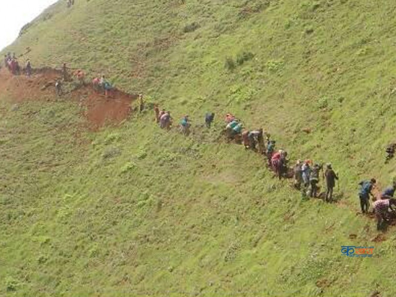 निषेधाज्ञामा रोजगार