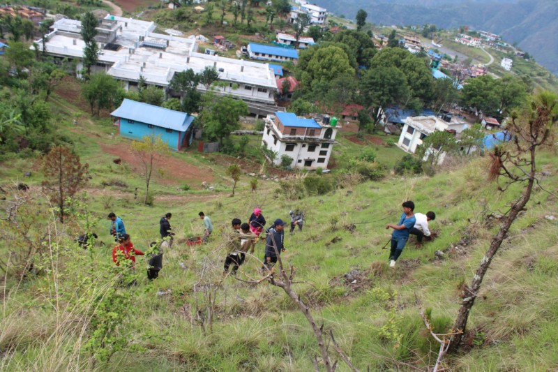 नेविसंघ मुसिकोटको आयोजनामा मुसिकोटमा वृक्षारोपण