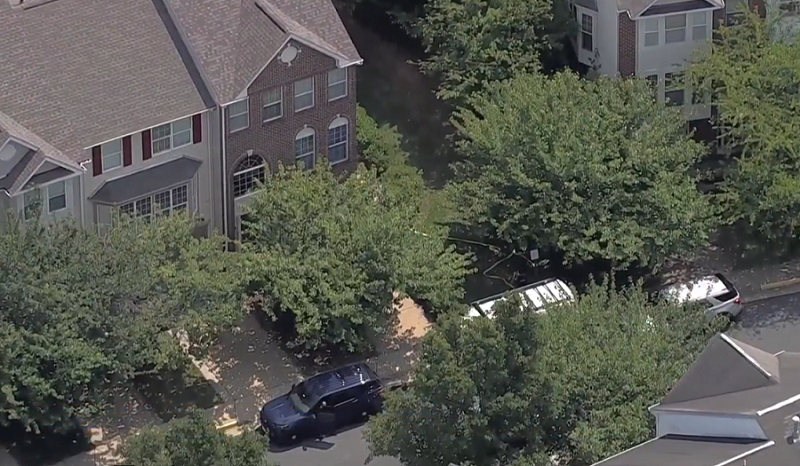 अमेरिकामा ४ नेपाली गाेली लागेकाे अवस्थामा मृत फेला