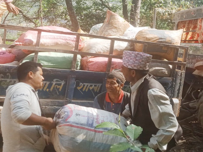 बाँफिकोट ६ का स्थानीय व्यवसायिक बेसार खेतीमा, घरबाटै बिक्रि भएपछि मख्ख