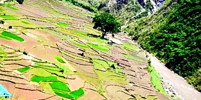 भेडाखेतमा १ लाख पुरस्कारको भलिबल प्रतियोगिता हुने 