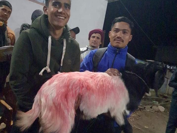 सिदार्थ र आकाशले जिते खसी पुरस्कार