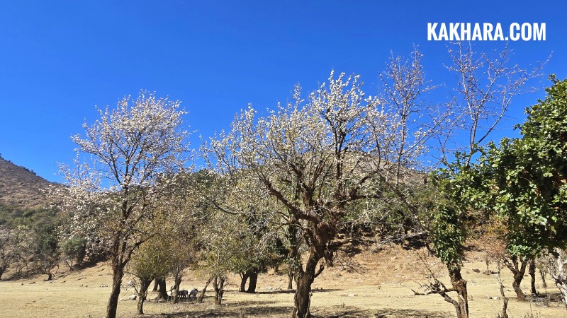 ढकमक्क ठुली दह ! (फाेटाे फिचर)